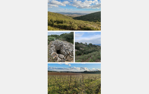 Puechs et Mazets de Poussan 8km R2