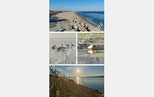 Mer et Salins de Frontignan R1